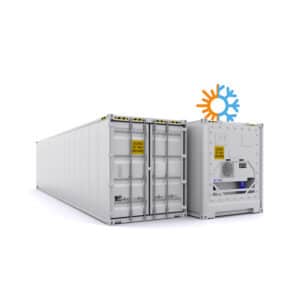 Container frigorifique occasion